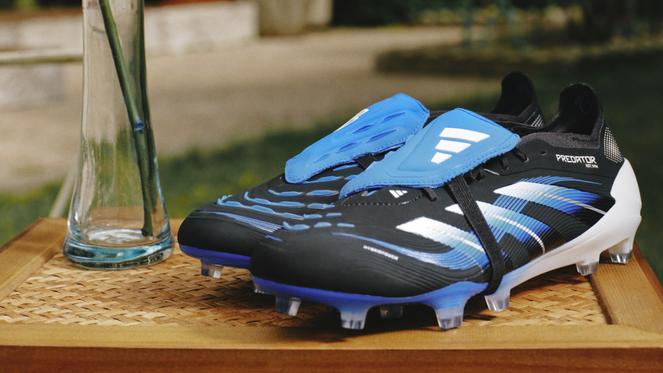 Aoe, 版本的国内, om